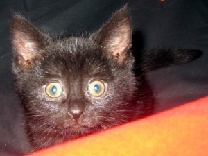 IMG_8683.jpg