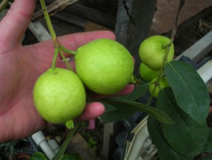 DSCN9939.JPG