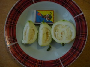 DSCN0002.JPG