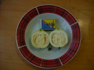 DSCN0001.JPG