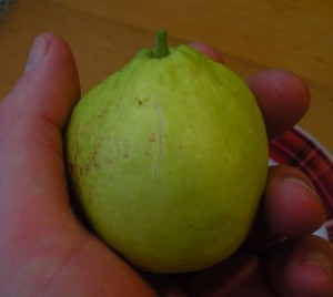 DSCN9995.JPG