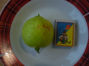 DSCN9991.JPG