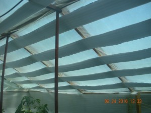 DSCN0003.JPG