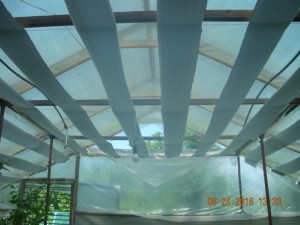DSCN9999.JPG