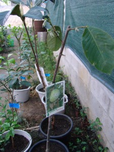 DSC01143.jpg