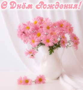 pinkromahi.jpg