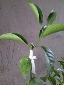 20160908_165204.jpg