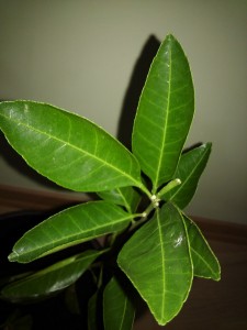 20160920_201617.jpg