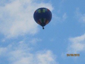 IMG_4562.jpg