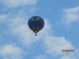 IMG_4563.jpg